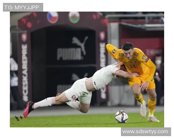 2023年度捷克足球球星表现盘点与赛场风采全景解析