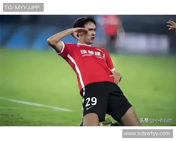 胡莱足球当家球星实力解析 盘点他在赛场上的亮眼表现与未来发展潜力